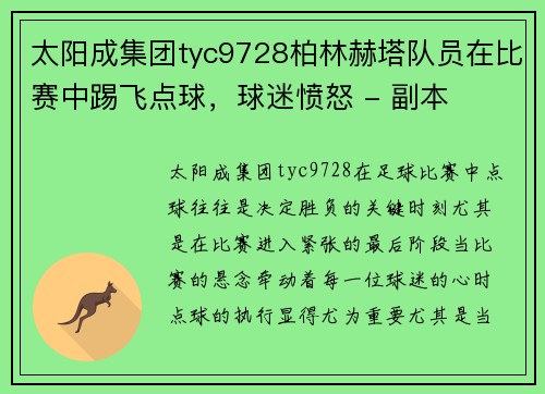 太阳成集团tyc9728柏林赫塔队员在比赛中踢飞点球，球迷愤怒 - 副本