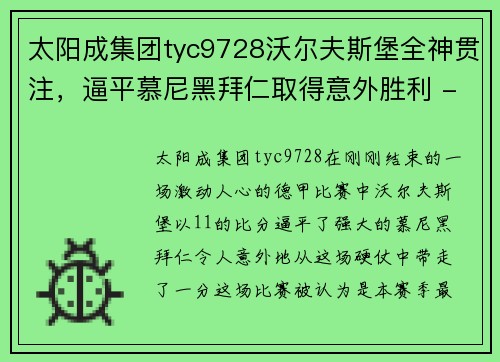 太阳成集团tyc9728沃尔夫斯堡全神贯注，逼平慕尼黑拜仁取得意外胜利 - 副本